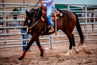IMG_3508 copy
