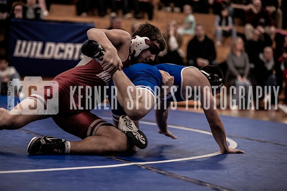 IMG_4010 copy