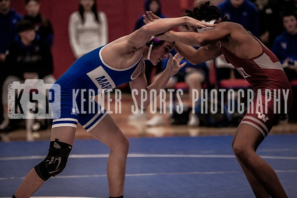 IMG_3942 copy