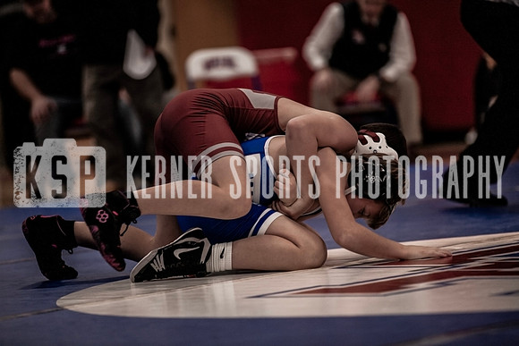 IMG_3890 copy