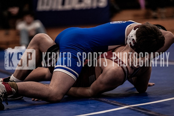 IMG_4006 copy