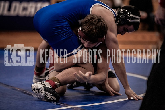 IMG_4007 copy