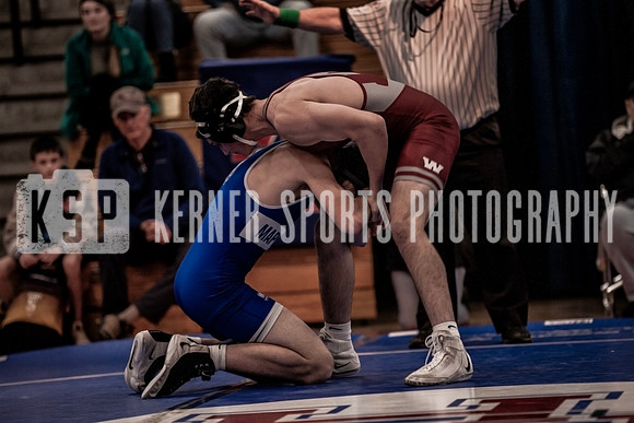 IMG_3976 copy