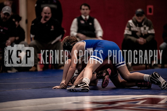 IMG_3901 copy