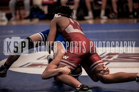 IMG_3944 copy