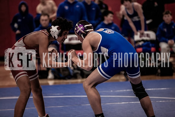 IMG_3939 copy