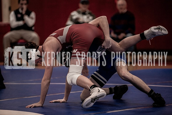 IMG_3925 copy