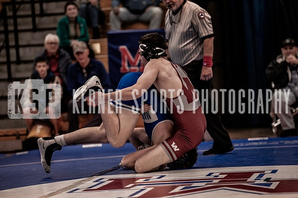 IMG_3988 copy