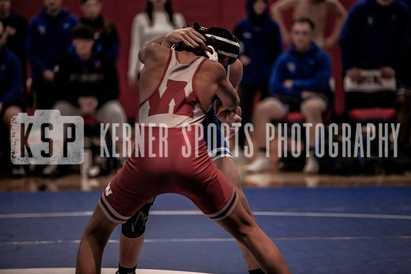 IMG_3941 copy