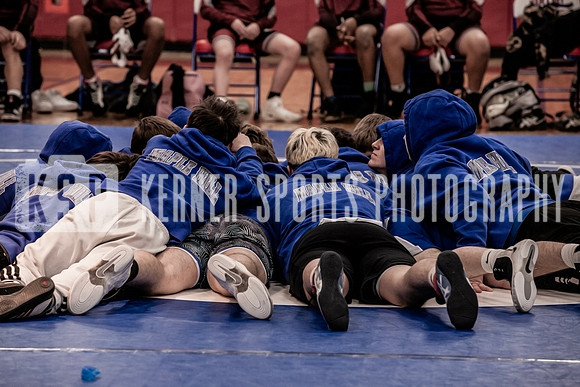 IMG_3800 copy