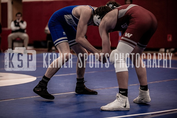 IMG_3920 copy