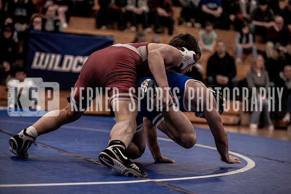 IMG_4012 copy