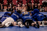 IMG_3799 copy