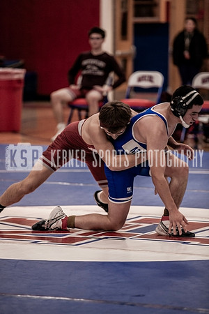 IMG_4036 copy