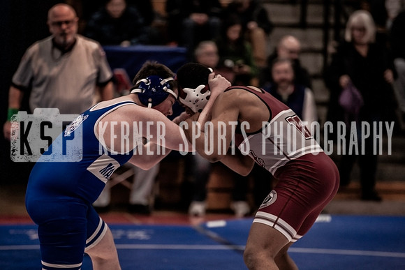 IMG_4101 copy