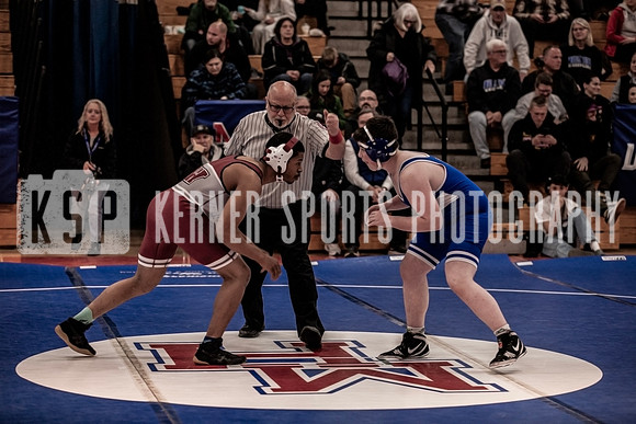 IMG_4100 copy