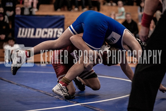 IMG_4008 copy