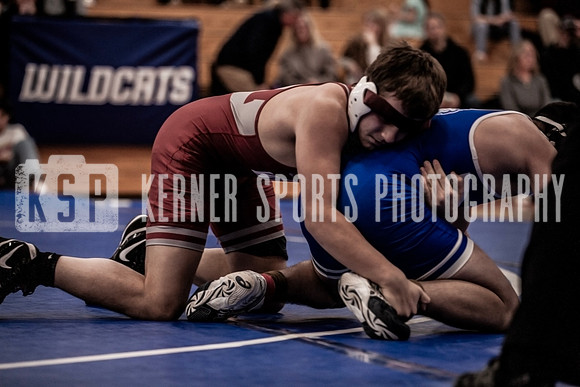 IMG_4009 copy