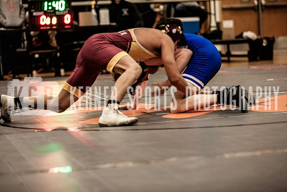 IMG_4232 copy