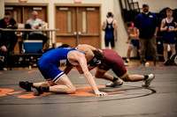 IMG_4231 copy