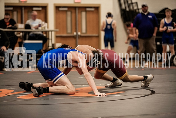 IMG_4231 copy
