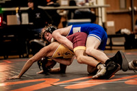 IMG_4235 copy