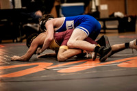 IMG_4234 copy