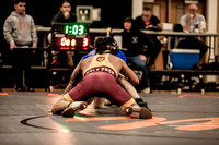 IMG_4239 copy