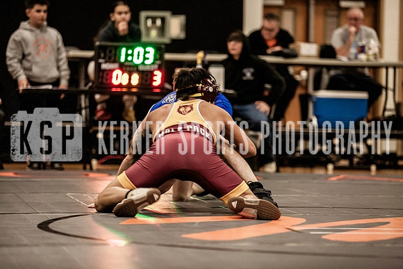 IMG_4239 copy