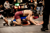 IMG_4248 copy
