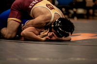 IMG_4250 copy