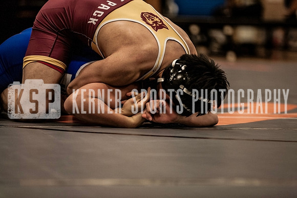 IMG_4250 copy