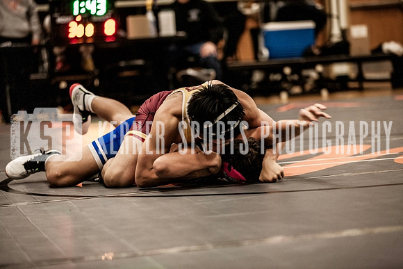 IMG_4249 copy