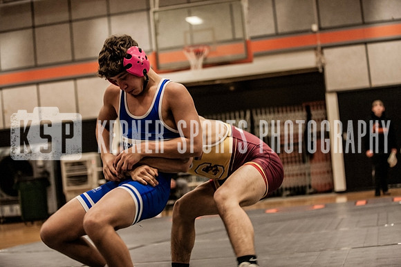 IMG_4252 copy