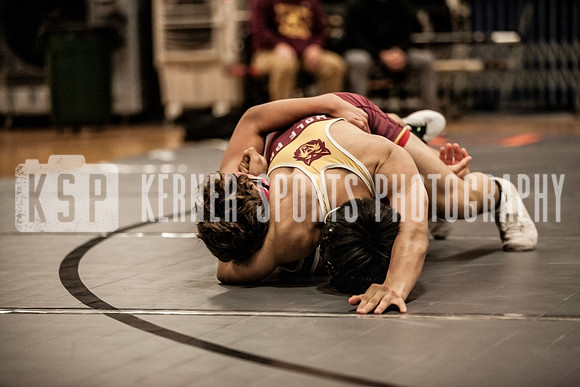 IMG_4254 copy