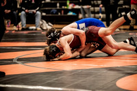 IMG_4461 copy