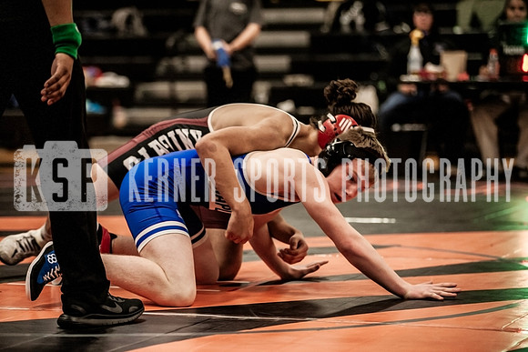 IMG_4500 copy