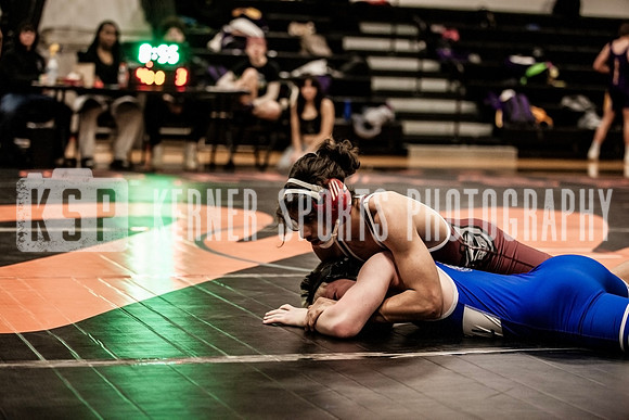 IMG_4503 copy