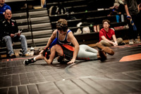 IMG_4643 copy