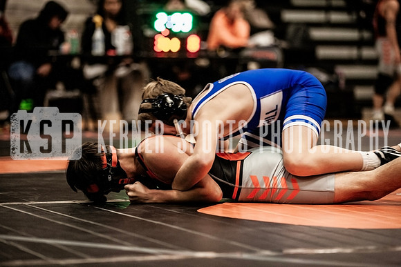 IMG_4650 copy