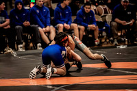 IMG_4666 copy