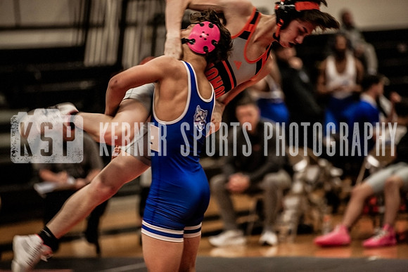 IMG_4687 copy