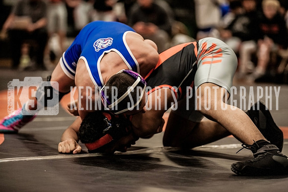 IMG_4708 copy
