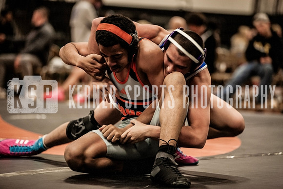 IMG_4710 copy