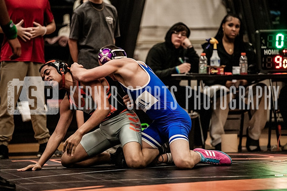 IMG_4716 copy