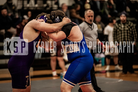 IMG_4930 copy