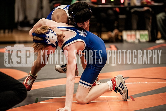 IMG_4973 copy
