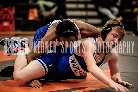 IMG_5008 copy