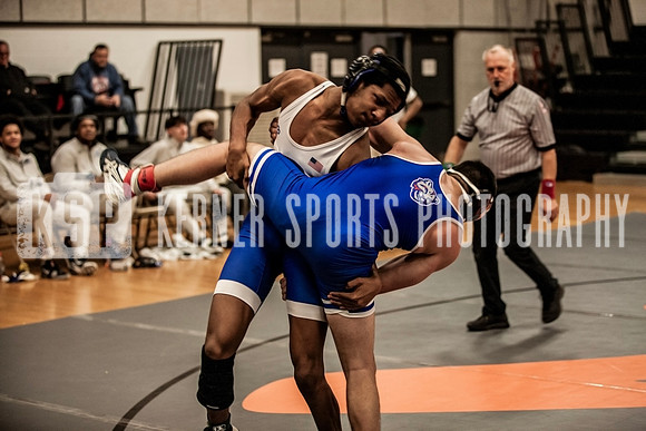 IMG_5029 copy