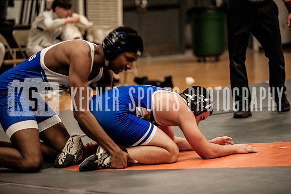 IMG_5033 copy